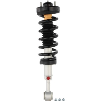 Suspension Strut and Coil Spring Assembly