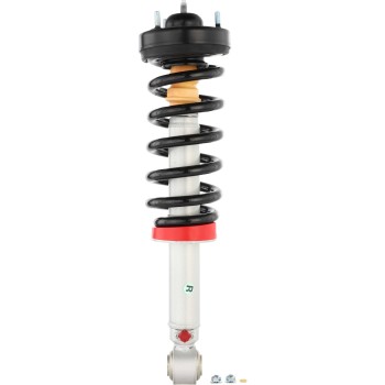 Suspension Strut and Coil Spring Assembly