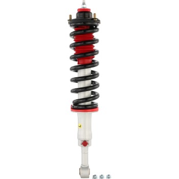 Suspension Strut and Coil Spring Assembly