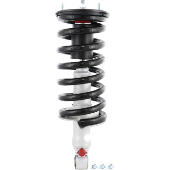 Suspension Strut and Coil Spring Assembly