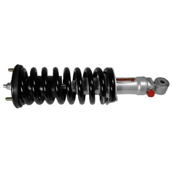 Suspension Strut and Coil Spring Assembly