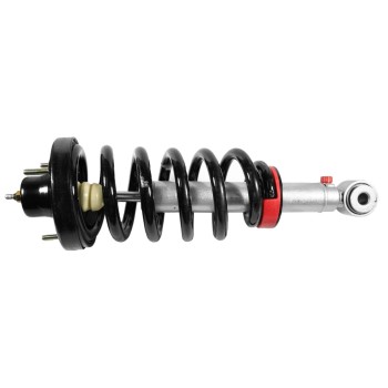 Suspension Strut and Coil Spring Assembly