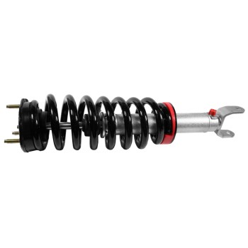 Suspension Strut and Coil Spring Assembly