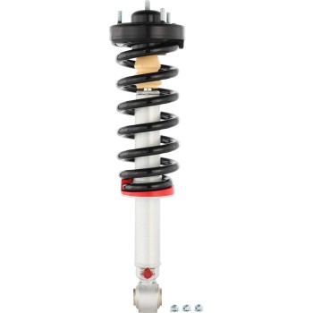 Suspension Strut and Coil Spring Assembly