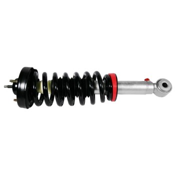 Suspension Strut and Coil Spring Assembly