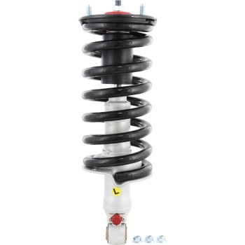 Suspension Strut and Coil Spring Assembly
