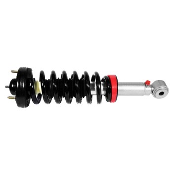 Suspension Strut and Coil Spring Assembly
