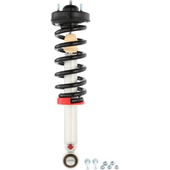 Suspension Strut and Coil Spring Assembly