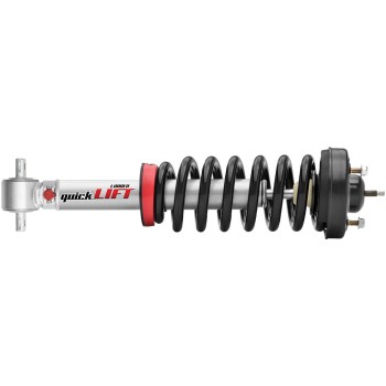 Suspension Strut and Coil Spring Assembly