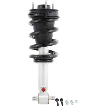 Suspension Strut and Coil Spring Assembly