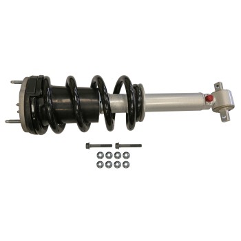Suspension Strut and Coil Spring Assembly