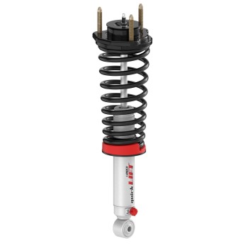 Suspension Strut and Coil Spring Assembly