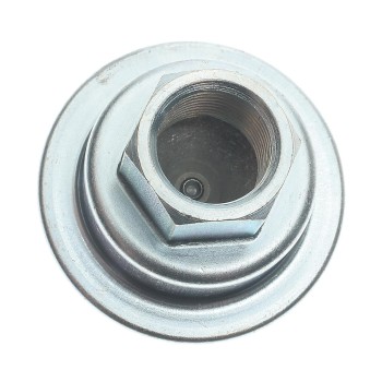 Secondary Air Injection Pump Check Valve