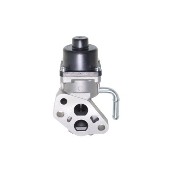 Exhaust Gas Recirculation (EGR) Valve