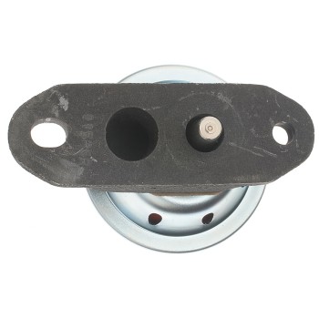 Exhaust Gas Recirculation (EGR) Valve