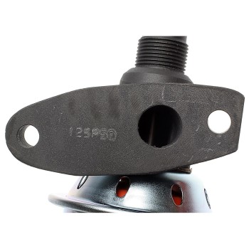 Exhaust Gas Recirculation (EGR) Valve