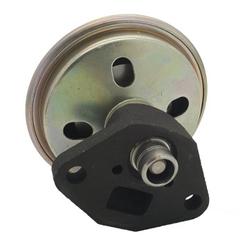 Exhaust Gas Recirculation (EGR) Valve