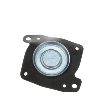 Fuel Injection Pressure Regulator