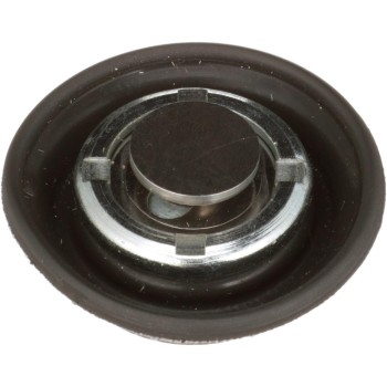 Fuel Injection Pressure Regulator