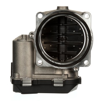 Fuel Injection Throttle Body Assembly