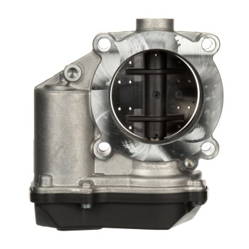 Fuel Injection Throttle Body Assembly