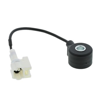 Ignition Knock (Detonation) Sensor