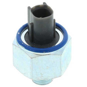 Ignition Knock (Detonation) Sensor