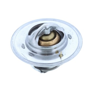 Engine Coolant Thermostat
