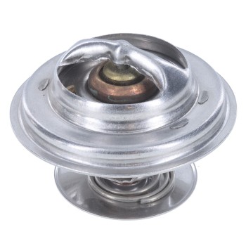 Engine Coolant Thermostat