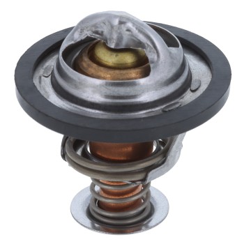 Engine Coolant Thermostat