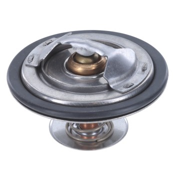 Engine Coolant Thermostat