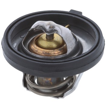Engine Coolant Thermostat
