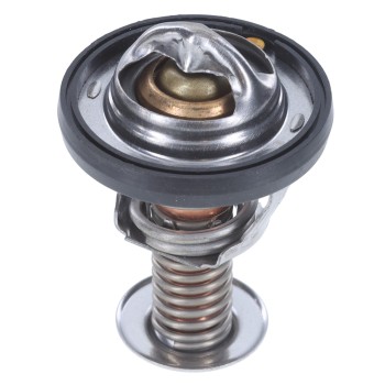 Engine Coolant Thermostat