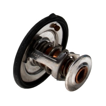 Engine Coolant Thermostat