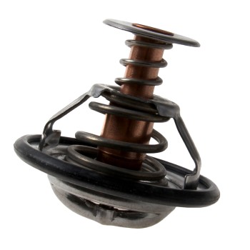 Engine Coolant Thermostat