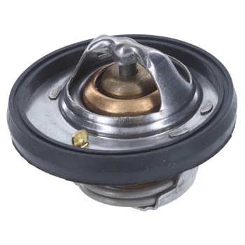 Engine Coolant Thermostat