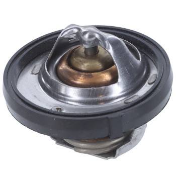Engine Coolant Thermostat