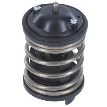 Engine Coolant Thermostat