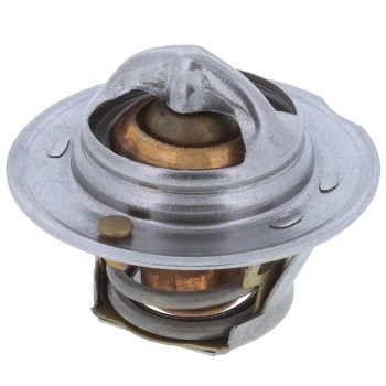 Engine Coolant Thermostat