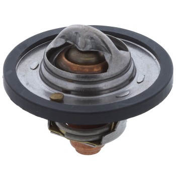 Engine Coolant Thermostat