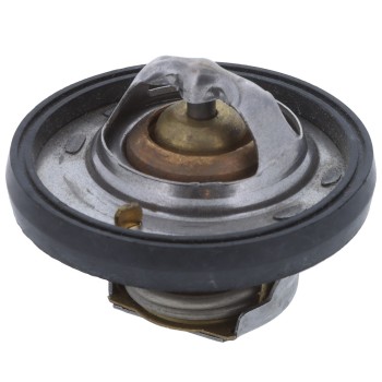 Engine Coolant Thermostat