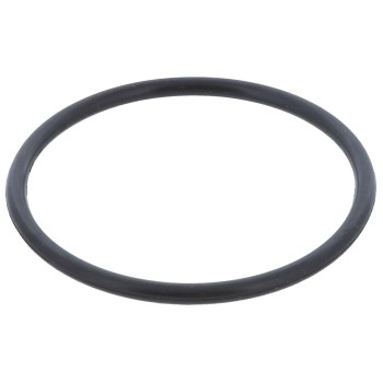 Engine Coolant Thermostat Seal