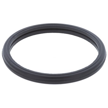 Engine Coolant Thermostat Seal