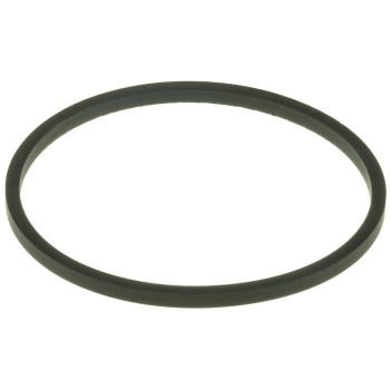 Engine Coolant Thermostat Seal