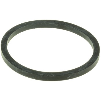 Engine Coolant Thermostat Seal