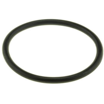 Engine Coolant Thermostat Seal