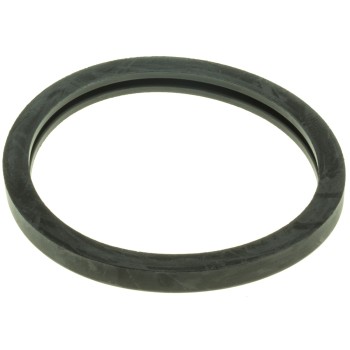 Engine Coolant Thermostat Seal
