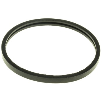 Engine Coolant Thermostat Seal