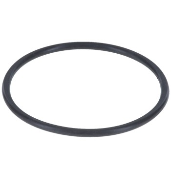 Engine Coolant Thermostat Seal