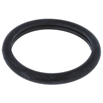 Engine Coolant Thermostat Seal